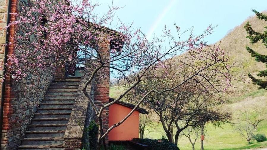 Agriturismo Paradiso41 Assisi Exterior foto