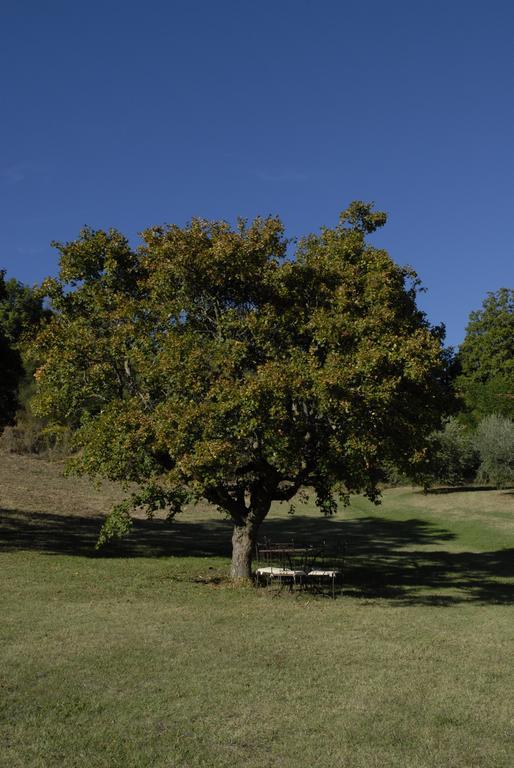 Agriturismo Paradiso41 Assisi Exterior foto