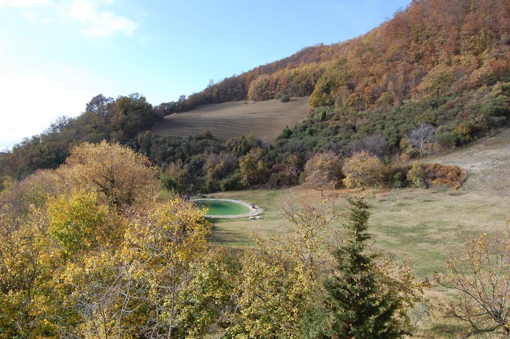 Agriturismo Paradiso41 Assisi Exterior foto