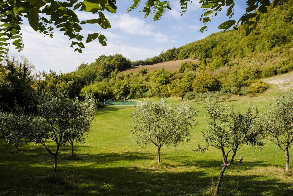 Agriturismo Paradiso41 Assisi Exterior foto
